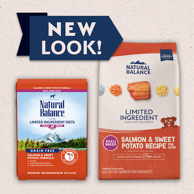 Salmon small breed dog food store