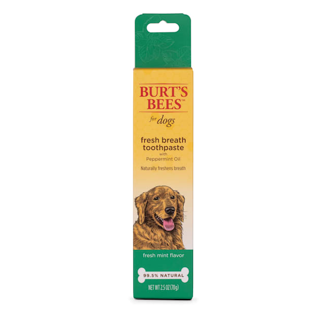 Burt's Bees Care Plus+ Fresh Breath Toothpaste with Peppermint Oil for Dogs, 0.3 lb. - Carousel image #1