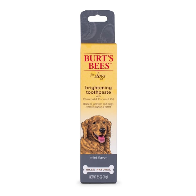 Burt's Bees Care Plus+ Charcoal & Coconut Oil Brightening Toothpaste for Dogs, 0.3 lb. - Carousel image #1