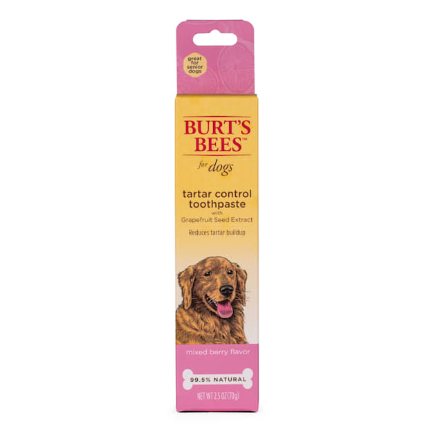 Burt's Bees Care Plus+ Tartar Control Toothpaste with Grapefruit Seed Extract for Dogs, 0.3 lb. - Carousel image #1