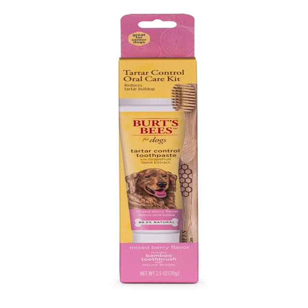 Burt's Bees Care Plus+ Tartar Control Toothpaste with Grapefruit Seed Extract & Bamboo Toothbrush for Dogs, 0.33 lb. - Carousel image #1
