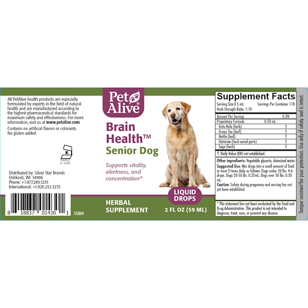 Brain food for senior dogs 2025