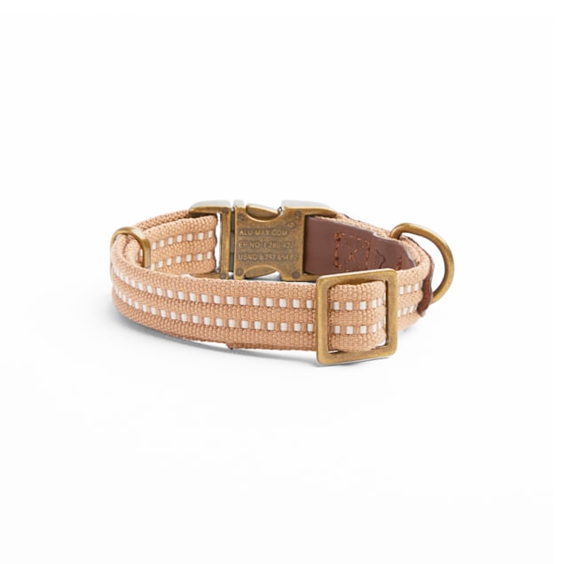 Beige leather dog new arrivals collar
