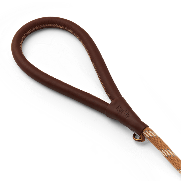 Reddy rope dog sales leash