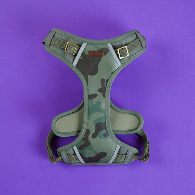 Petco reddy harness on sale