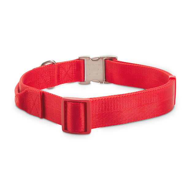 Good2go dog top collar