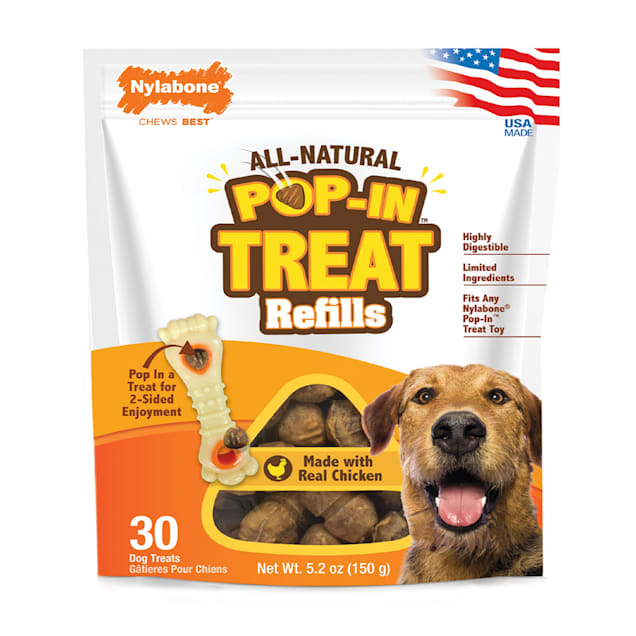 Nylabone Pop-In Treat Chicken Falvour Refills with Treat Toy Combo for Dogs, Small - Carousel image #1