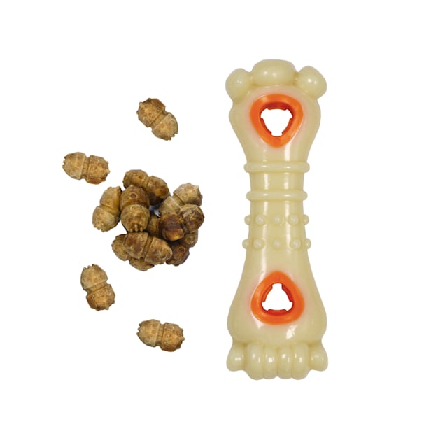 Nylabone Power Chew Knuckle Bone & Pop-In Treat Dog Toy Combo, Large - Carousel image #1