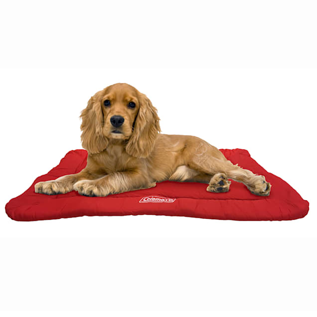 Coleman Red Rollup Travel Bed For Dogs 36 L X 24 W X 2 H Petco