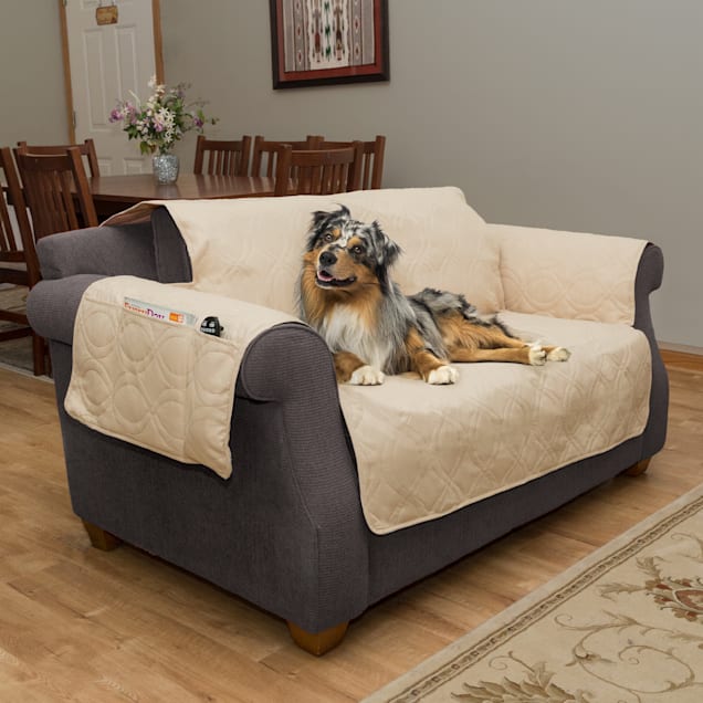 Petco couch covers clearance