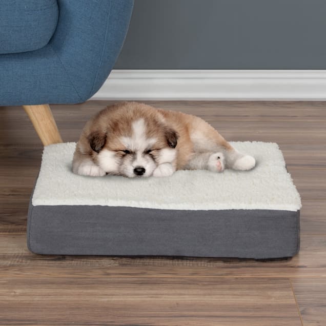 Orthopedic memory foam dog bed shop