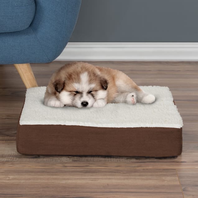 Petmaker memory foam dog cheap bed