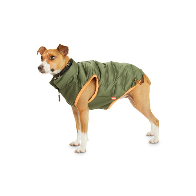 Reddy dog puffer jacket