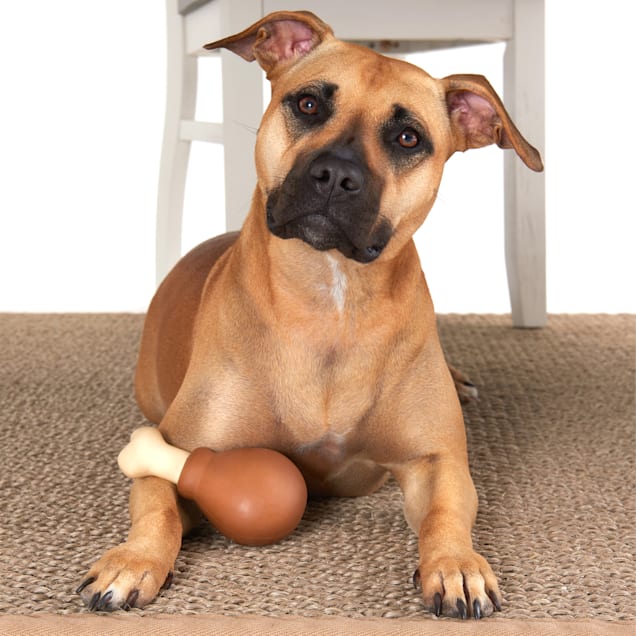 BARK Super Chewer Drumstick Dog Toy Medium Petco
