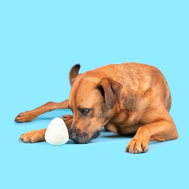 Egg carton shop dog toy