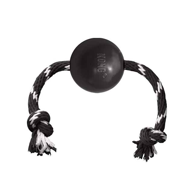Petco kong extreme online