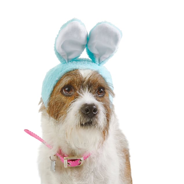 Bunny harness petco top