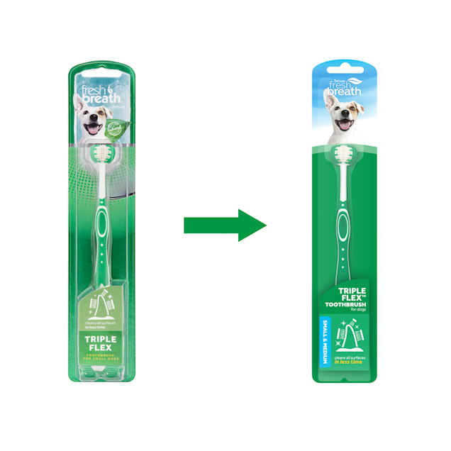 Petco dog on sale toothbrush