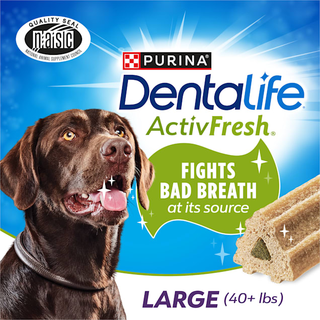 Top rated dog dental chews online