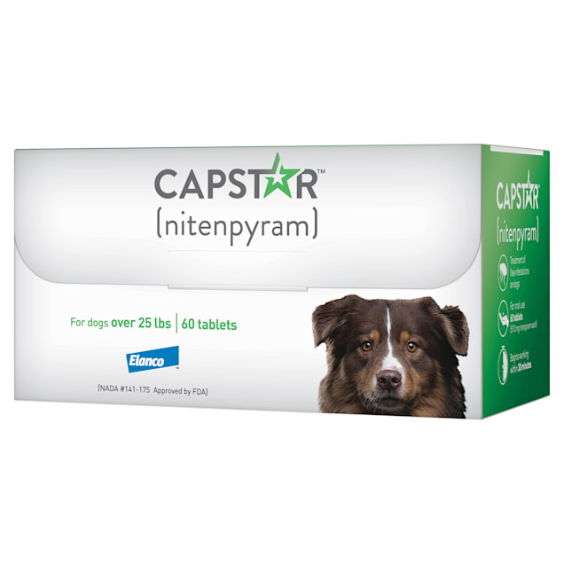 Petco capstar top
