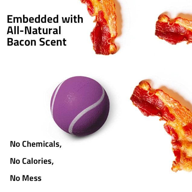 Bacon ball dog toy top
