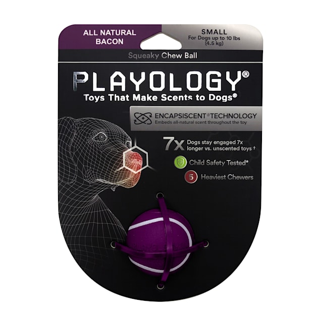 Playology Squeaky Bacon Scent Chew Ball Dog Toy, Small - Carousel image #1