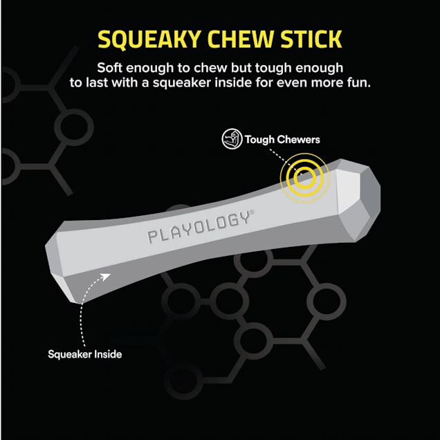 Playology Squeaky Bacon Scent Chew Stick Dog Toy, Large Petco
