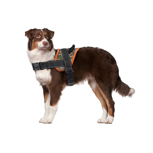 Petco dog cheap seat belt