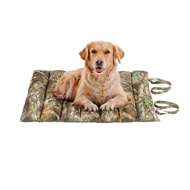 Hunting dog beds clearance
