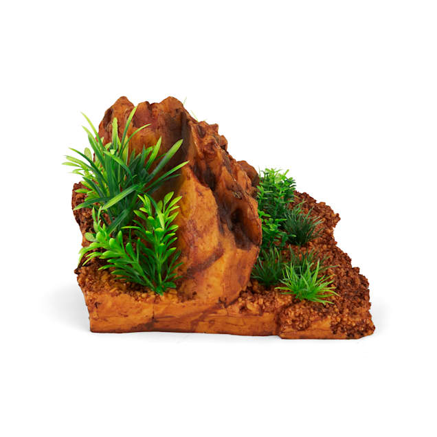 Petco aquarium decorations shop