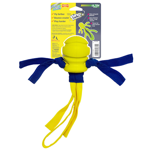 Nylabone kong cheap