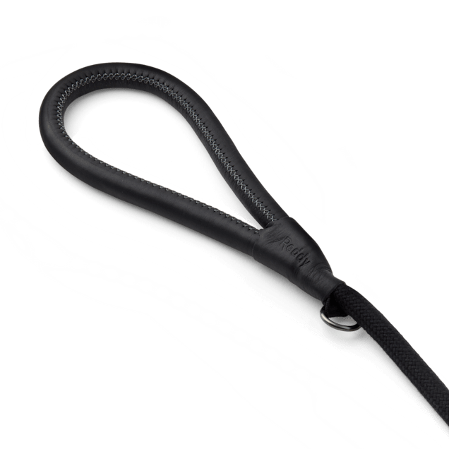Reddy Black Rope Dog Leash 6 ft