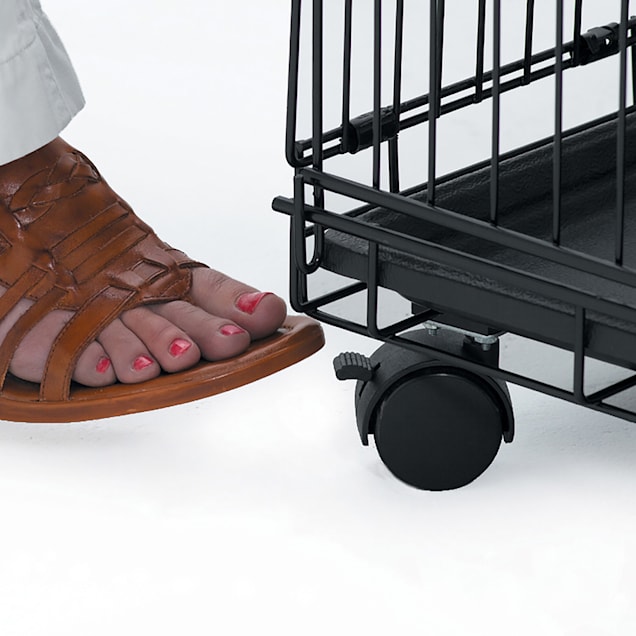 Dog crate casters online