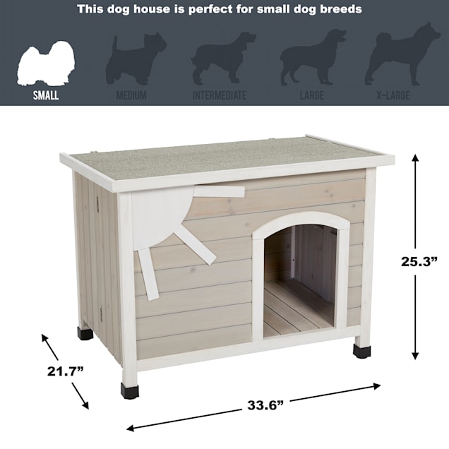 Folding dog best sale