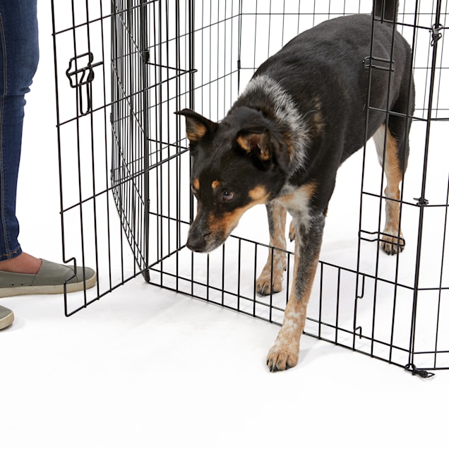 Petco dog exercise pen discount