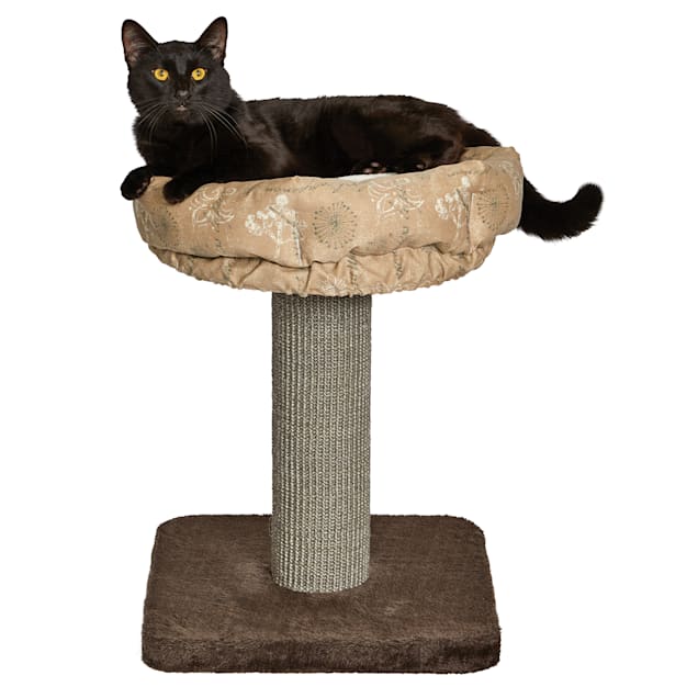 Midwest feline nuvo cat tree clearance