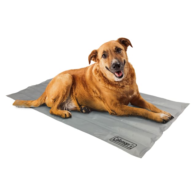 Coleman dog mat clearance