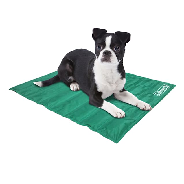 Coleman Green Cooling Mat for Dogs, 18" L X 12" W - Carousel image #1