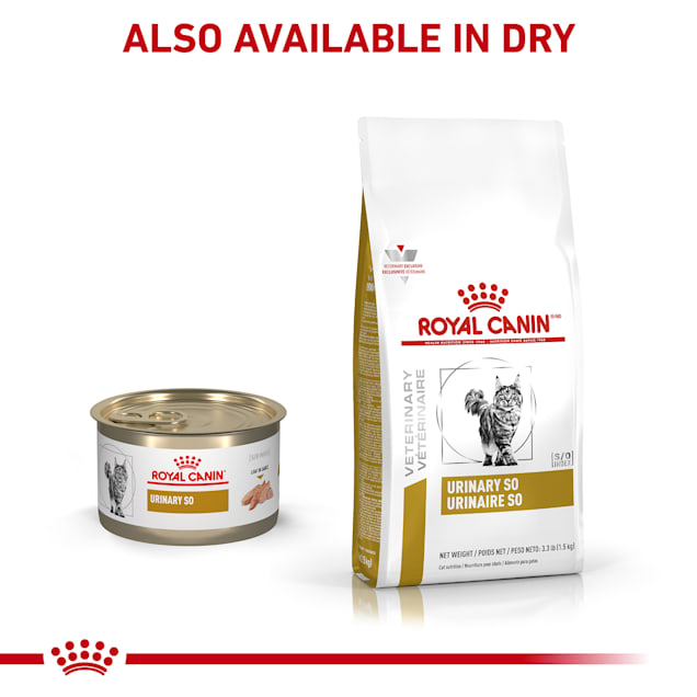 Royal Canin Urinary SO in Gel Wet Cat Food 5.1 oz. Case of 24