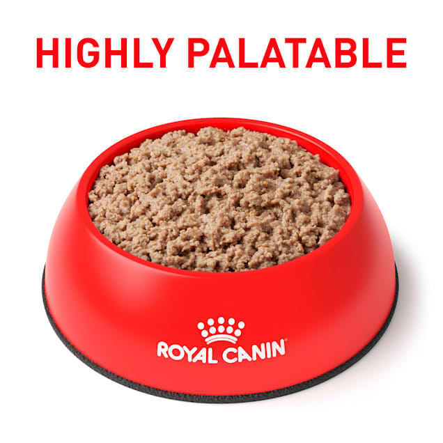 Satiety wet cat food outlet