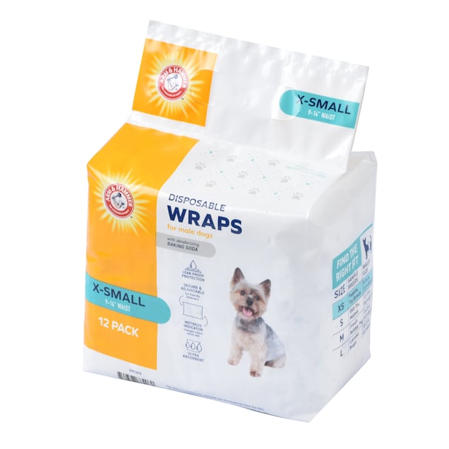 Small male dog deals wraps