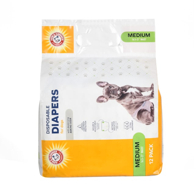 Bird diapers petco deals