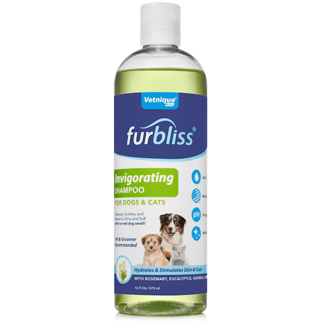 Dog shampoo to get rid of smell best sale