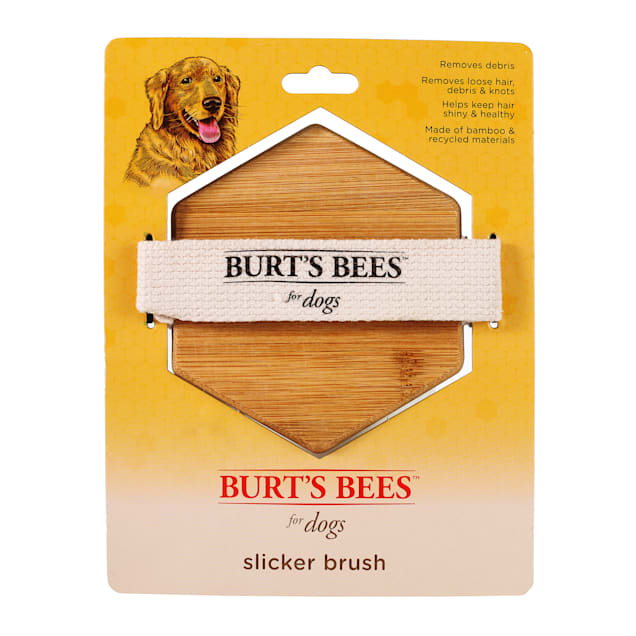 Burt s Bees Palm Slicker Brush for Dogs Petco