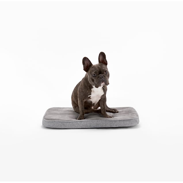 Chew proof dog bed petco deals