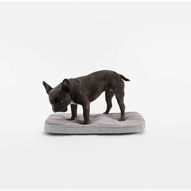 Dog ate memory foam sales