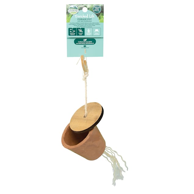 Oxbow Enriched Life Forage Pot for Small Animals - Carousel image #1