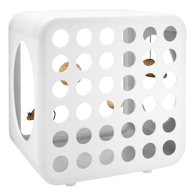 Kitty kasas deals gym cube
