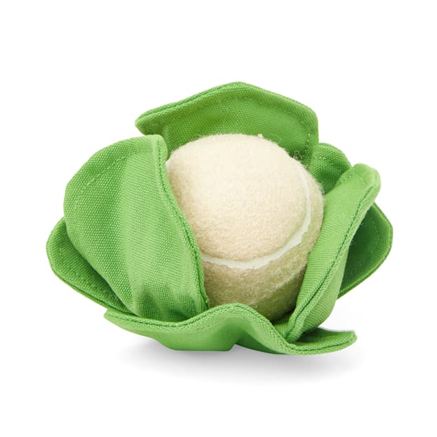 Bond & Co. Started As A Bottle Recycled & Reinvented So Sprout Cauliflower Tennis Ball Dog Toy, Small - Carousel image #1