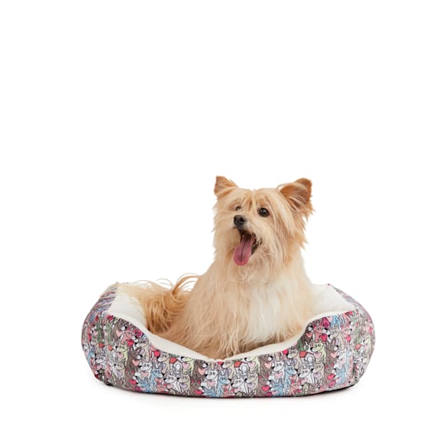 Bobs for petco clearance
